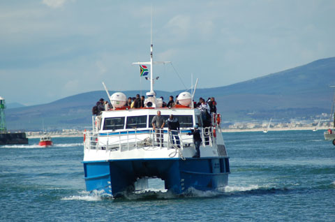 Destination la prison de Robben Island, dans la baie du Cap
